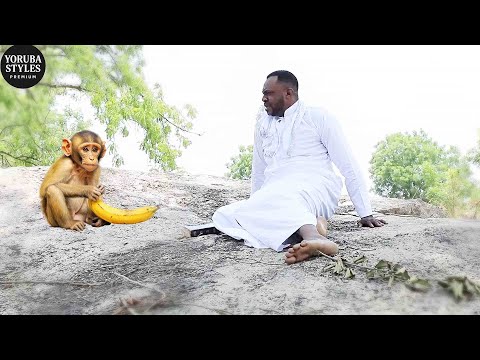 Baba Ijo – Latest Yoruba Movies 2025 Ronke Odunlade Adekola, Fathia Balogun, Nike Hamzat